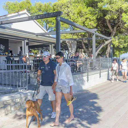 Appartement Mediha's Secret Oasis